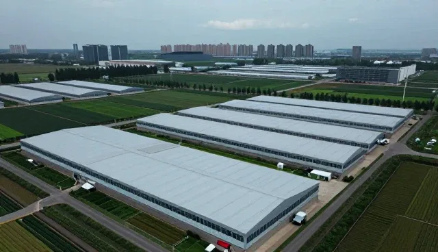 技术型企业如何平衡性能与适用条件